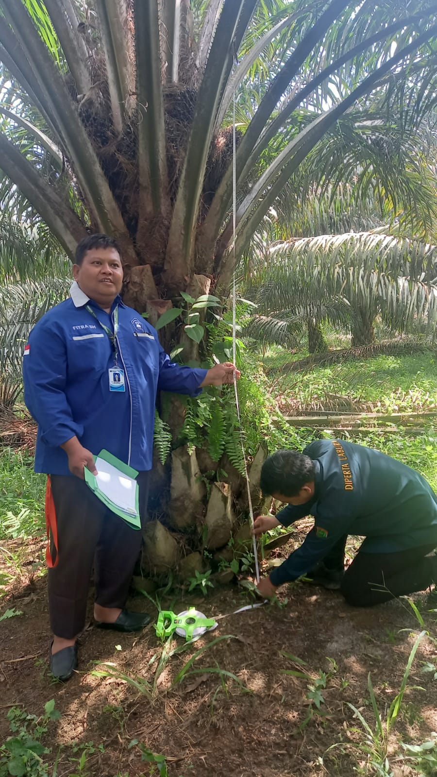 Pendampingan Pengambilan Sampel Penelitian