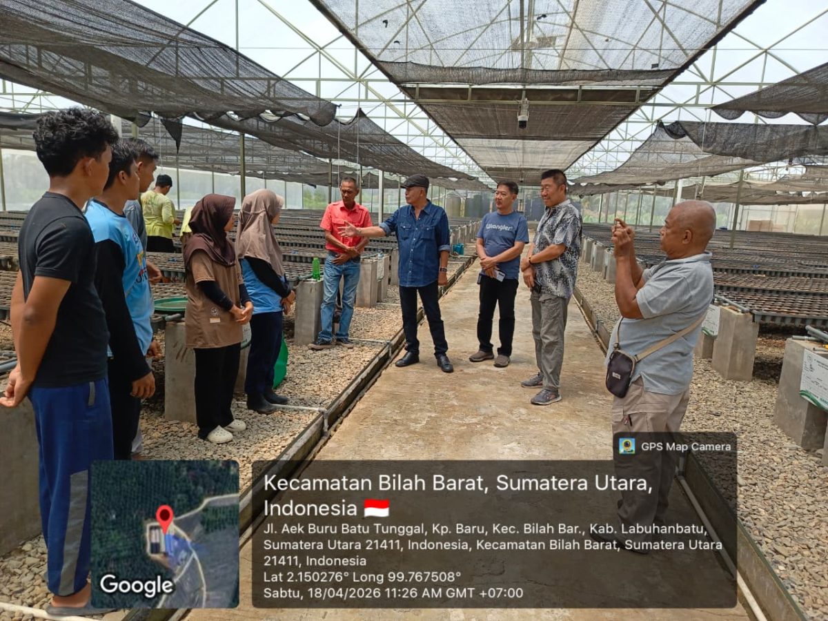 Transformasi Pembelajaran Agronomi: Mahasiswa ULB Optimalkan Praktikum Pembibitan Kelapa Sawit di PT. Benih Bumi Nusantara